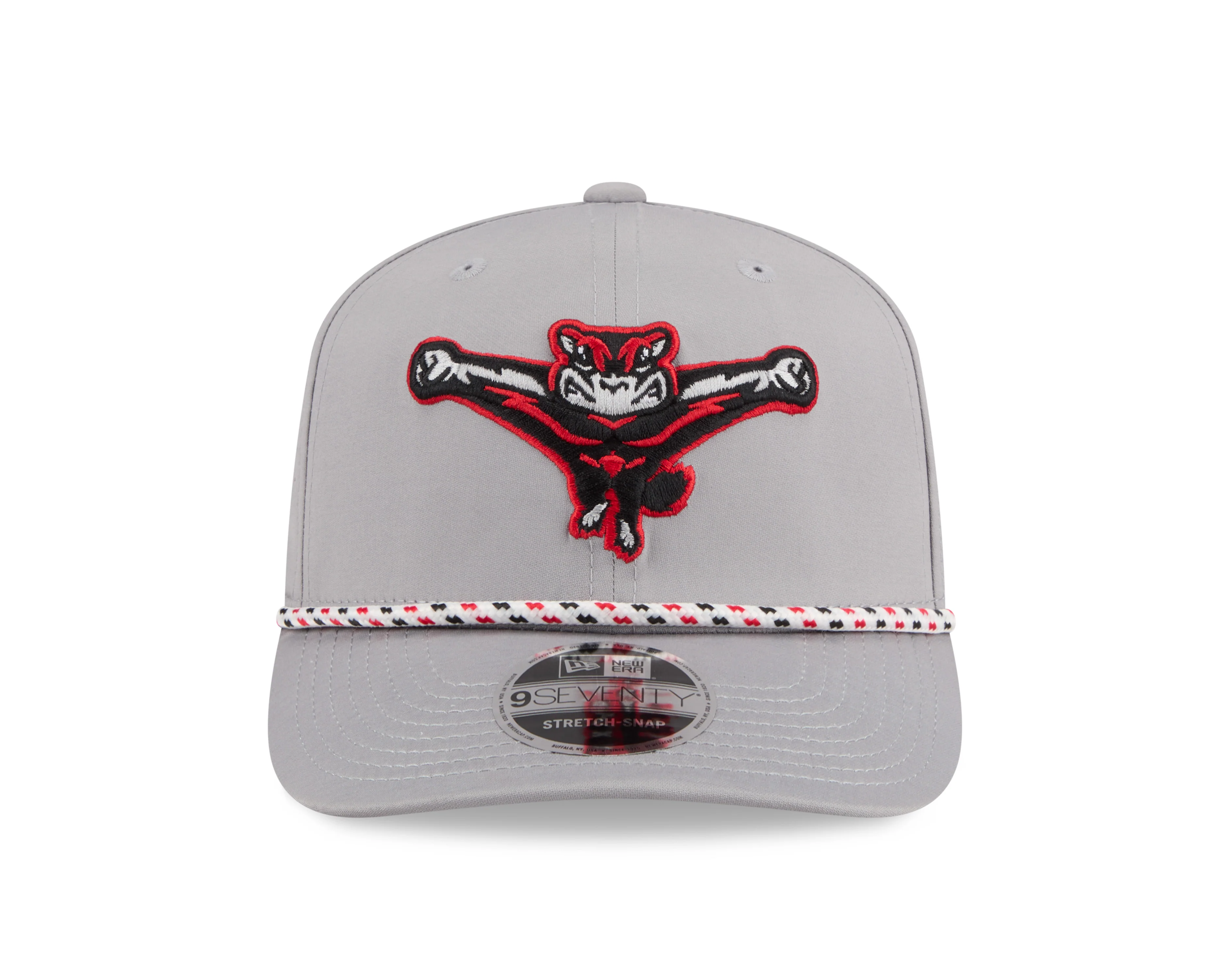 Richmond Flying Squirrels New Era Gray Sport 9Seventy - Image 3