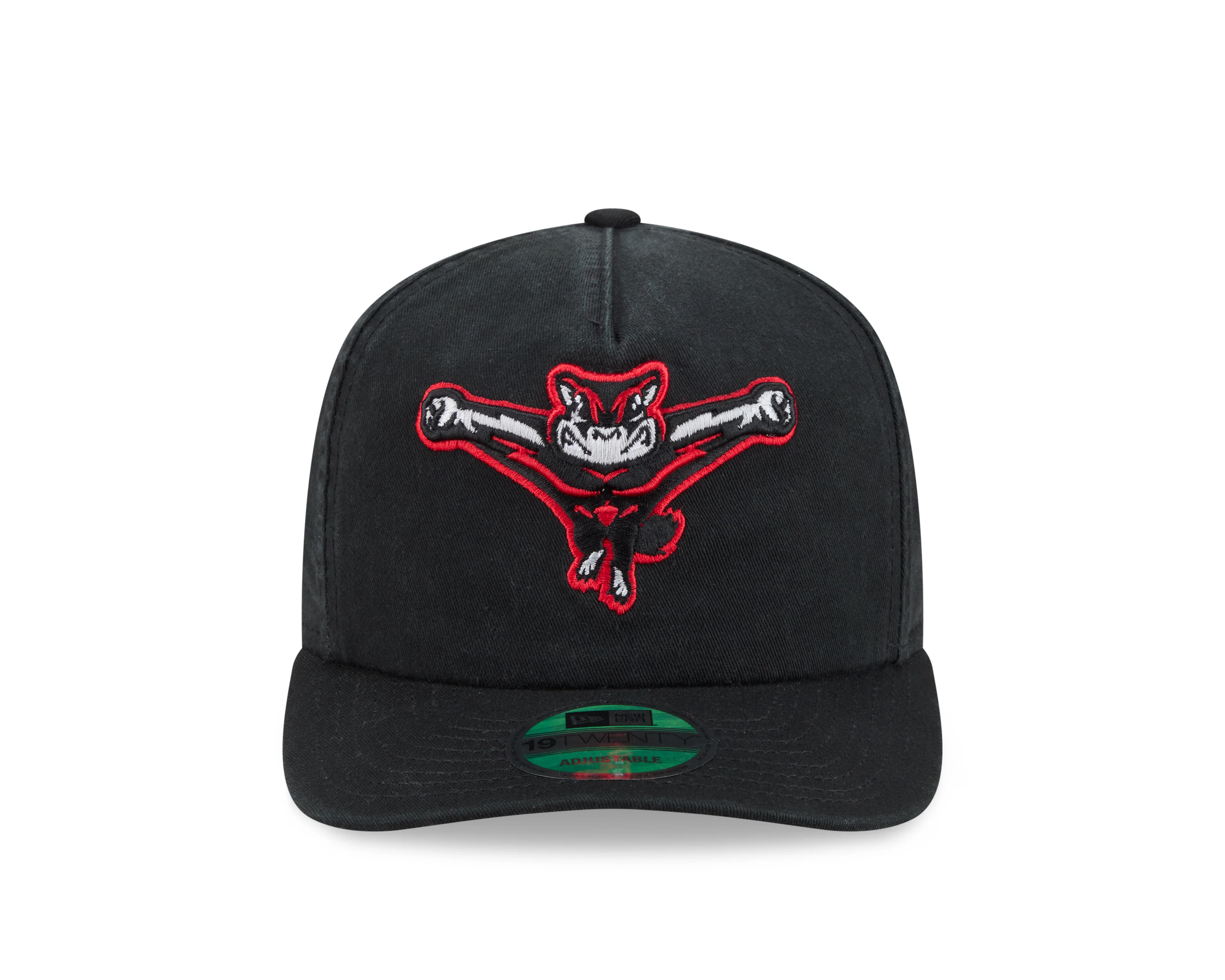 Richmond Flying Squirrels New Era Home 19Twenty Cap - Image 3
