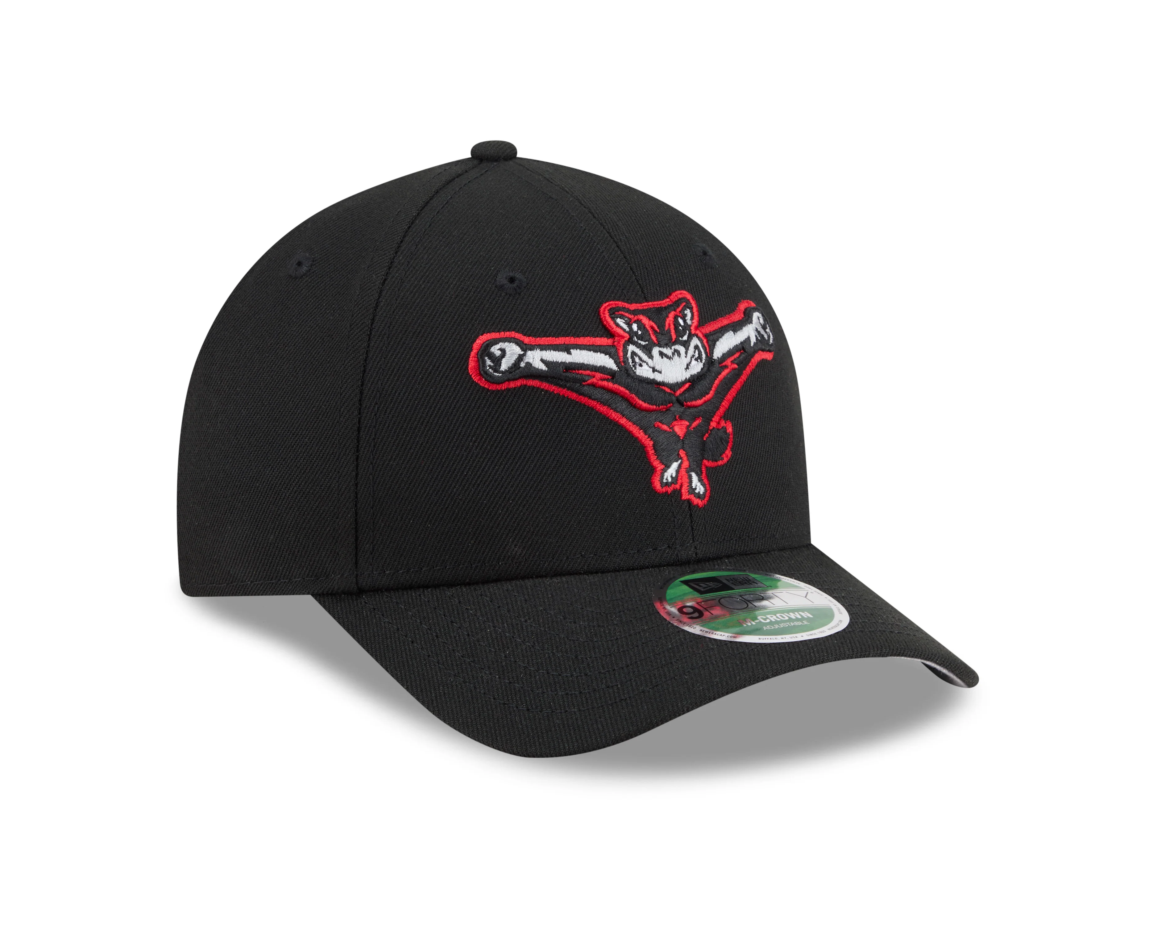Richmond Flying Squirrels New Era Home 9Forty M-Crown Cap - Image 2