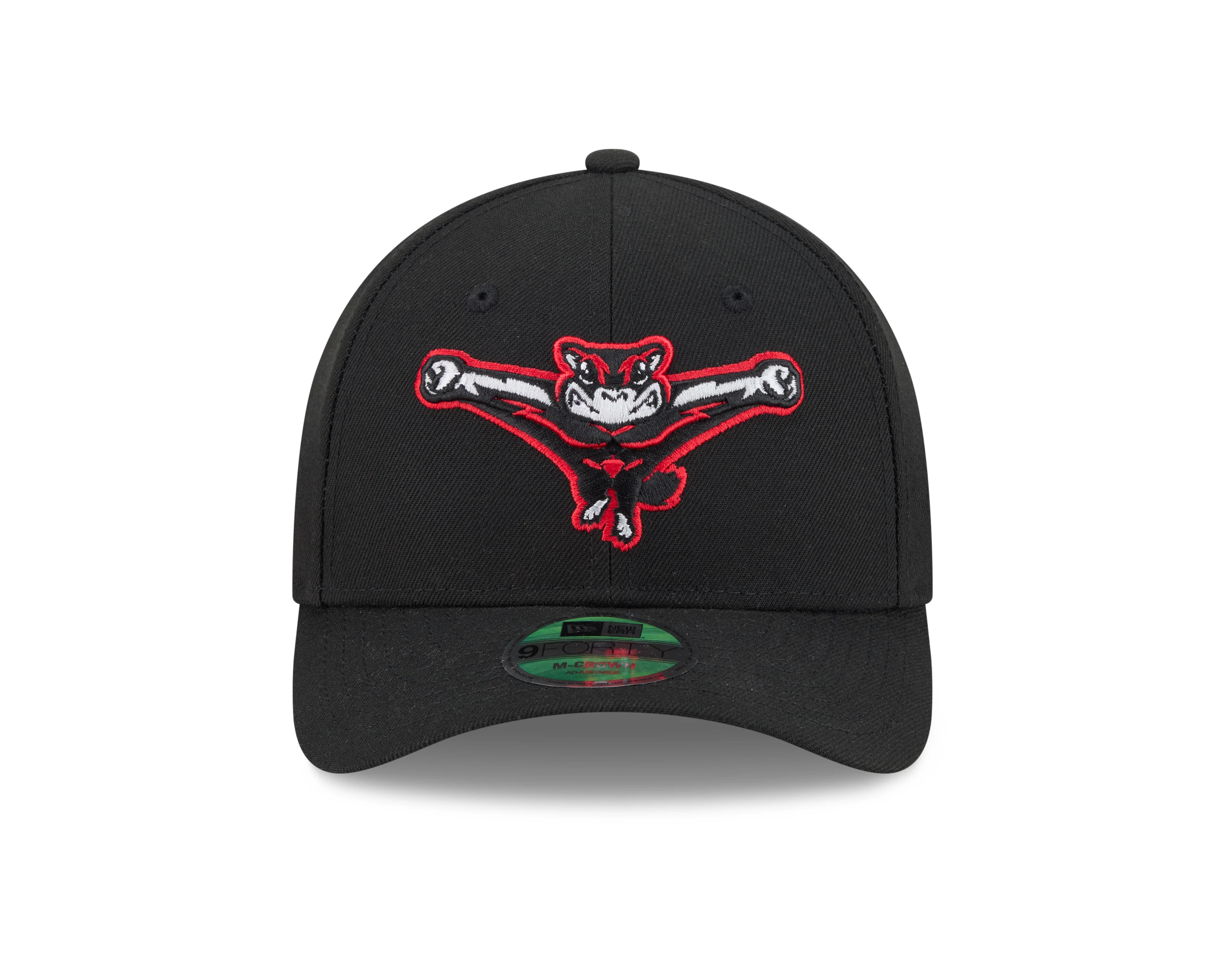 Richmond Flying Squirrels New Era Home 9Forty M-Crown Cap - Image 3