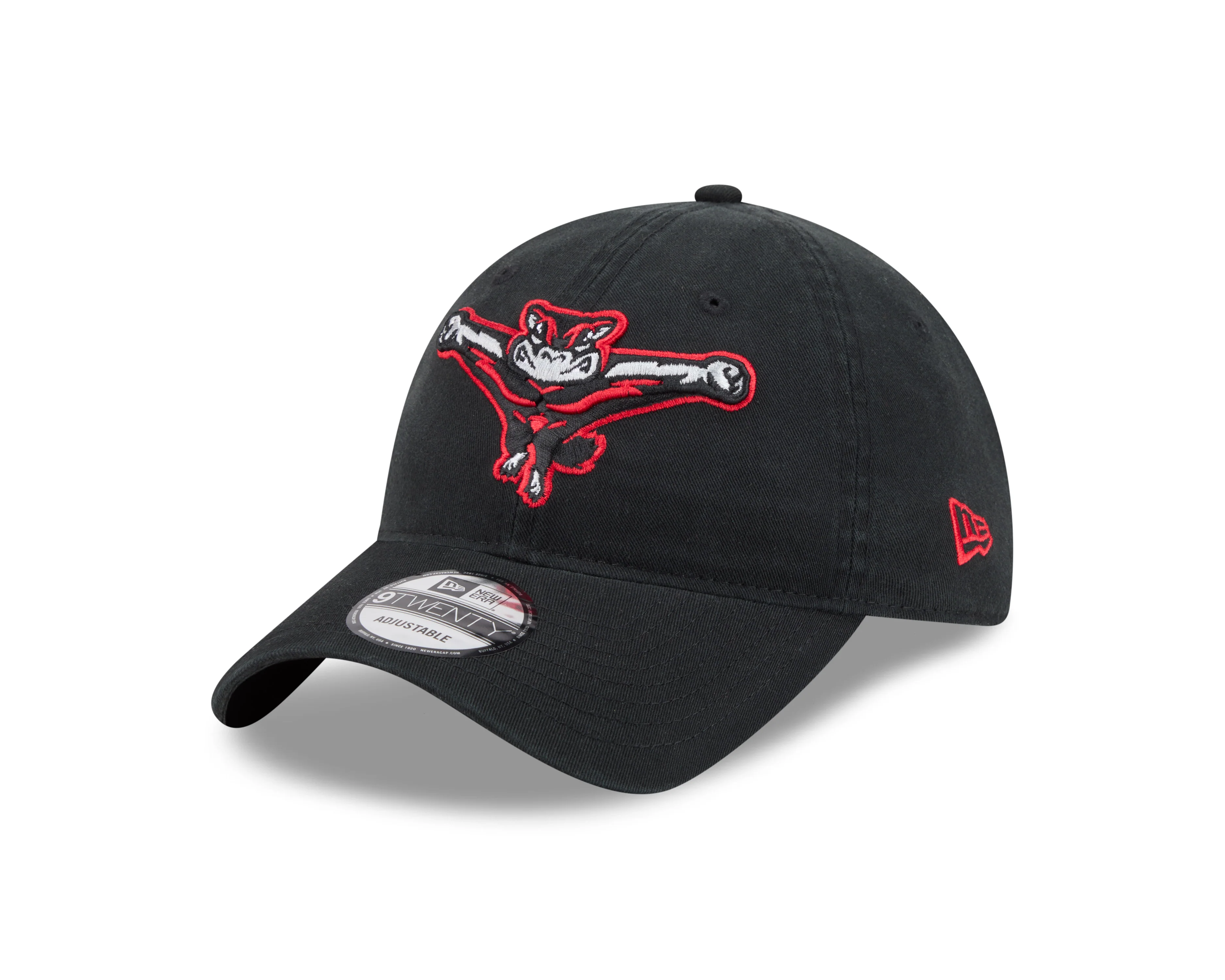 Richmond Flying Squirrels New Era Home 9Twenty Cap