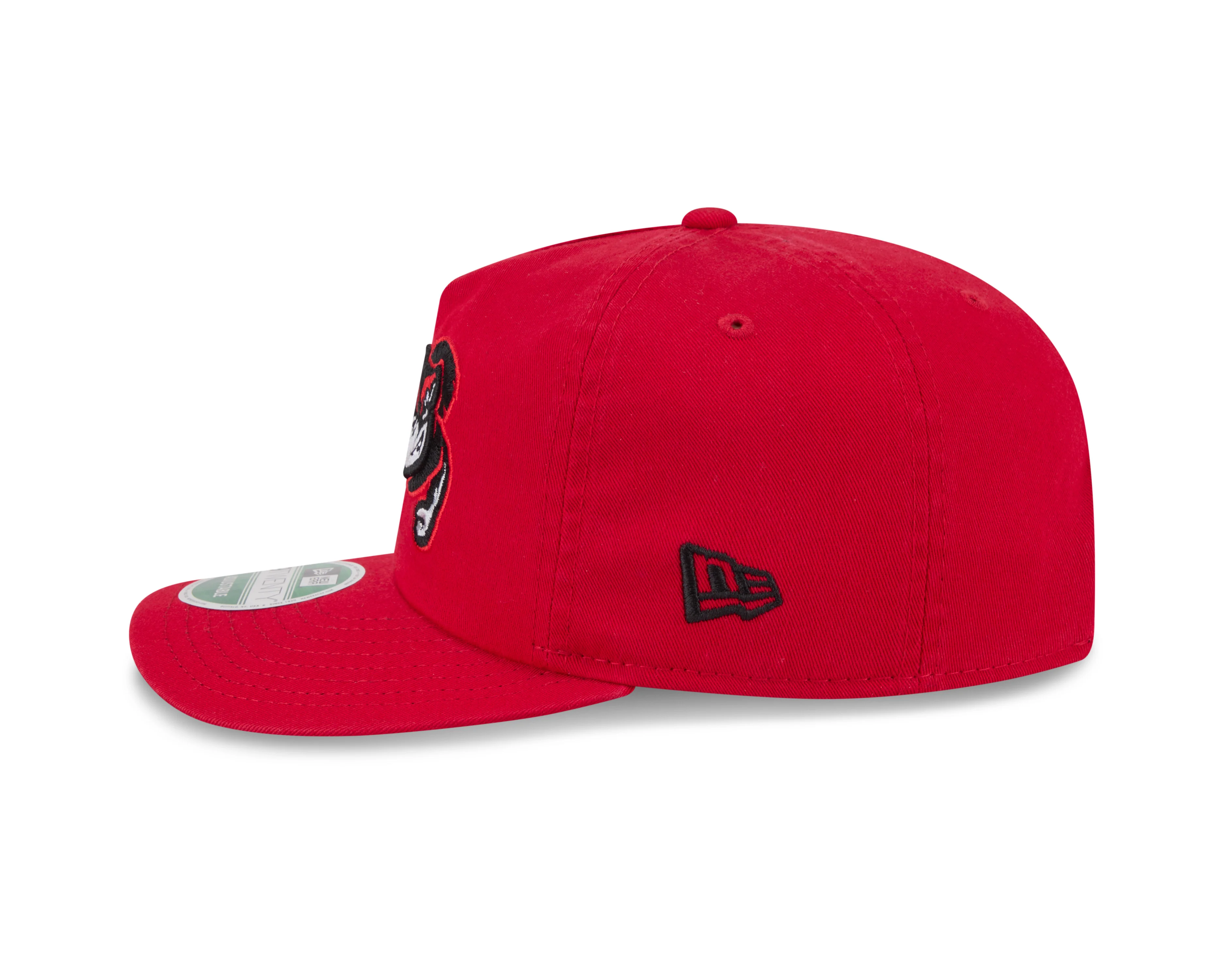 Richmond Flying Squirrels New Era Road 19Twenty Cap - Image 4
