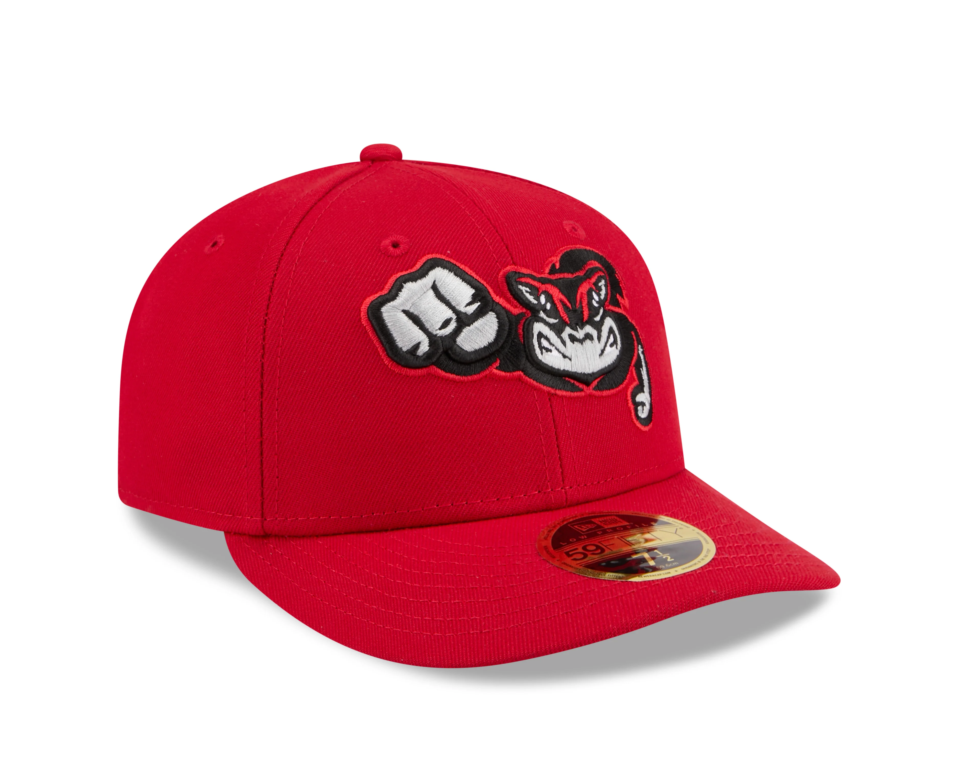 Richmond Flying Squirrels New Era Road Low Profile 59Fifty Cap - Image 2
