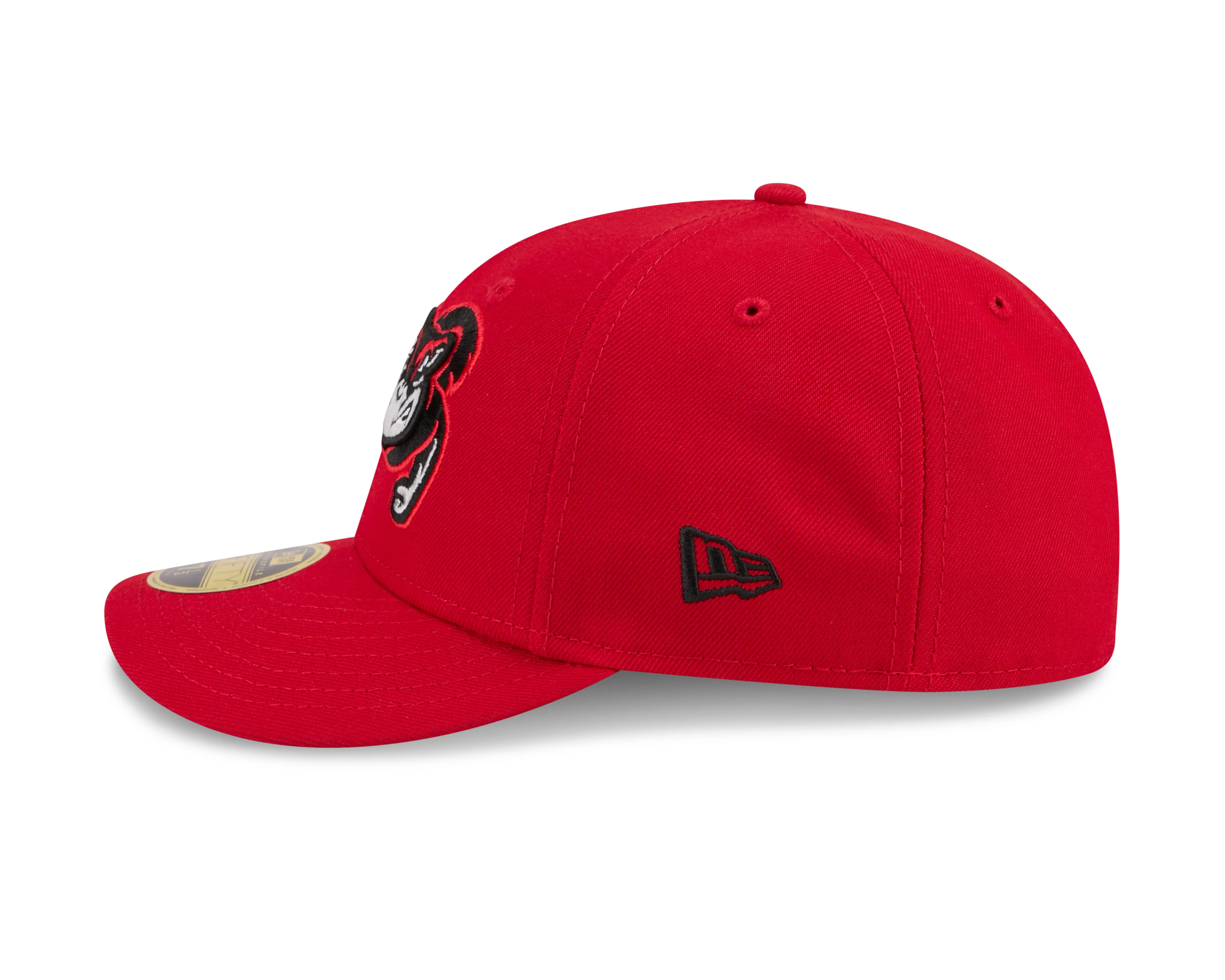 Richmond Flying Squirrels New Era Road Low Profile 59Fifty Cap - Image 4
