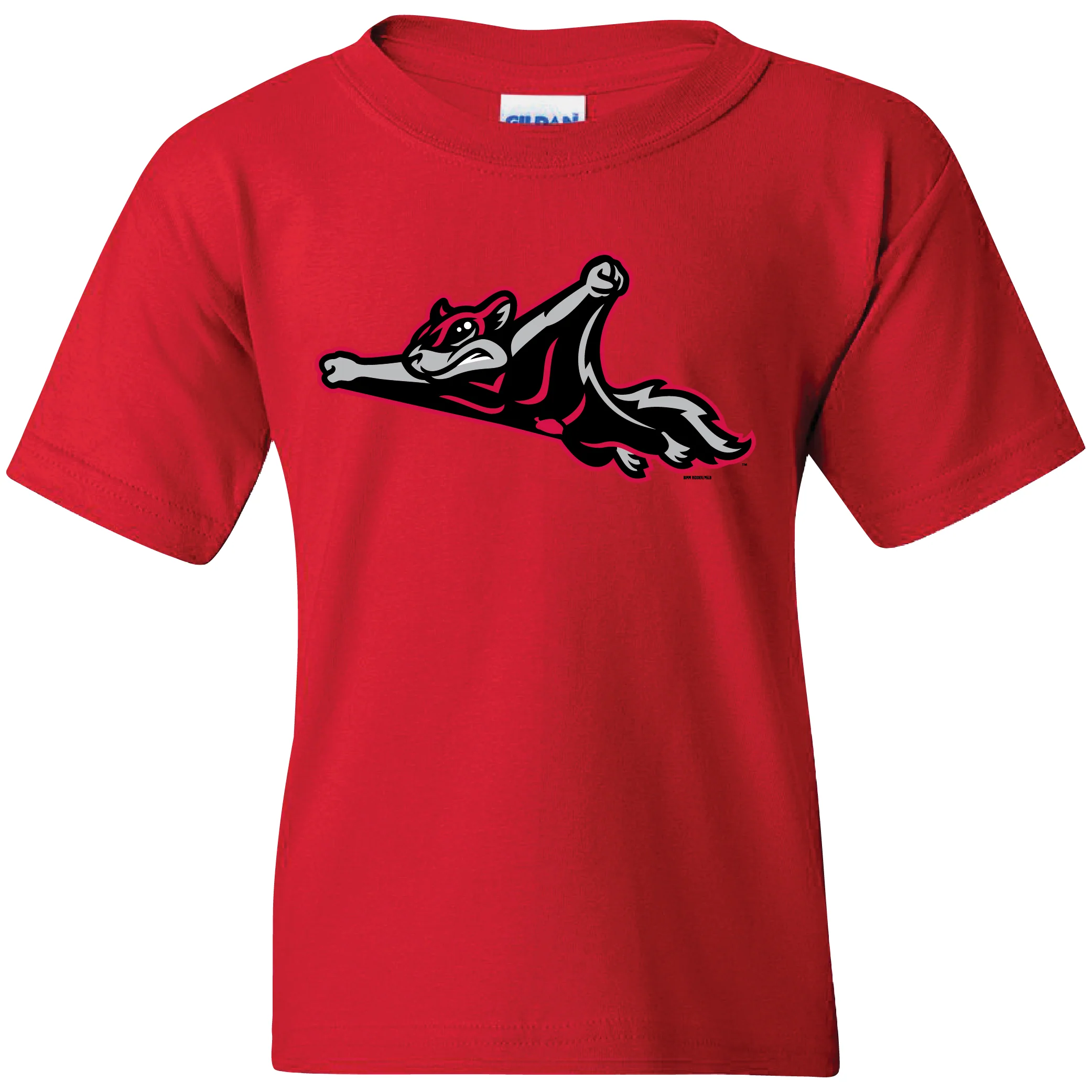 Richmond Flying Squirrels Youth Alternate Logo Tee - Image 2