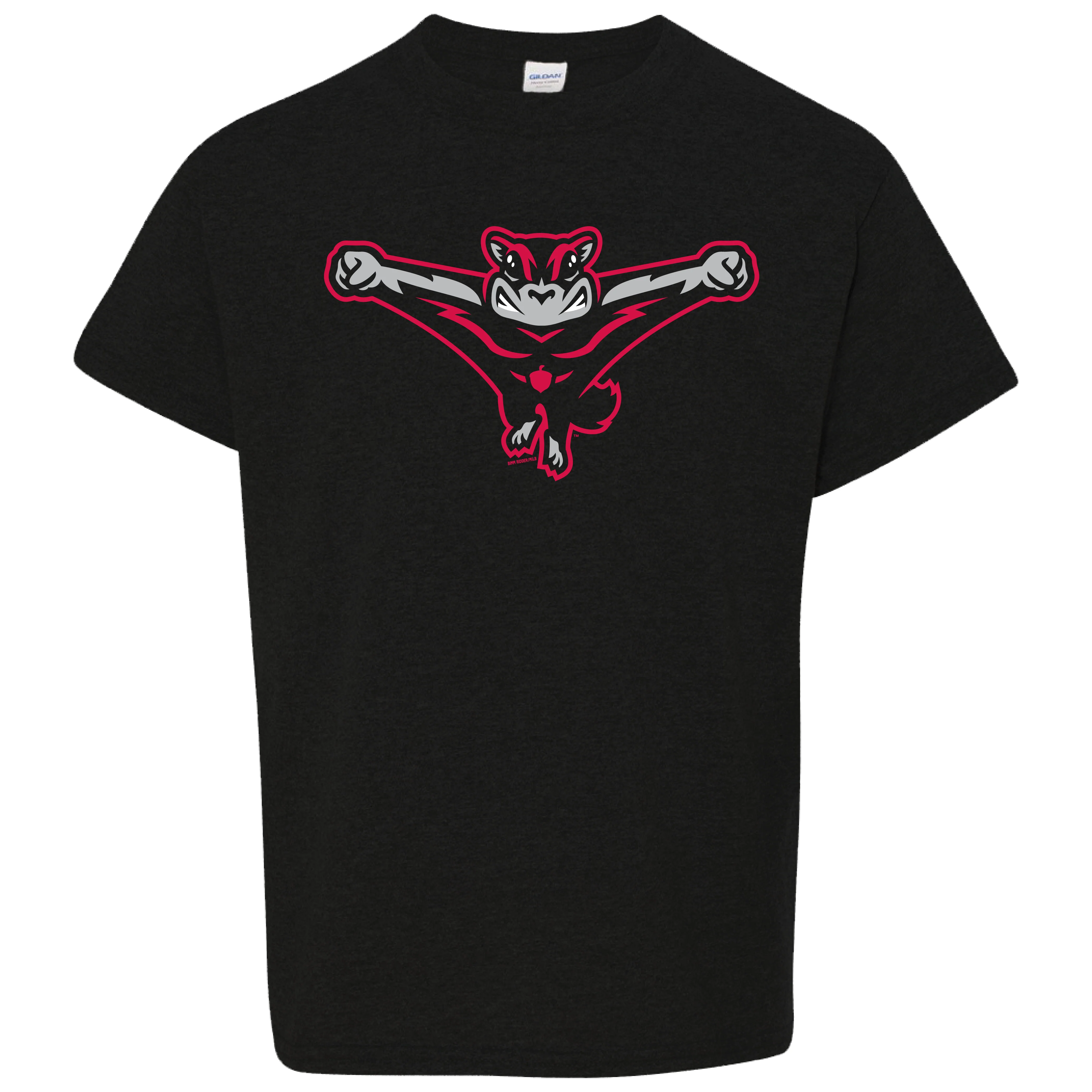 Richmond Flying Squirrels Youth Home Cap Logo Tee - Image 2