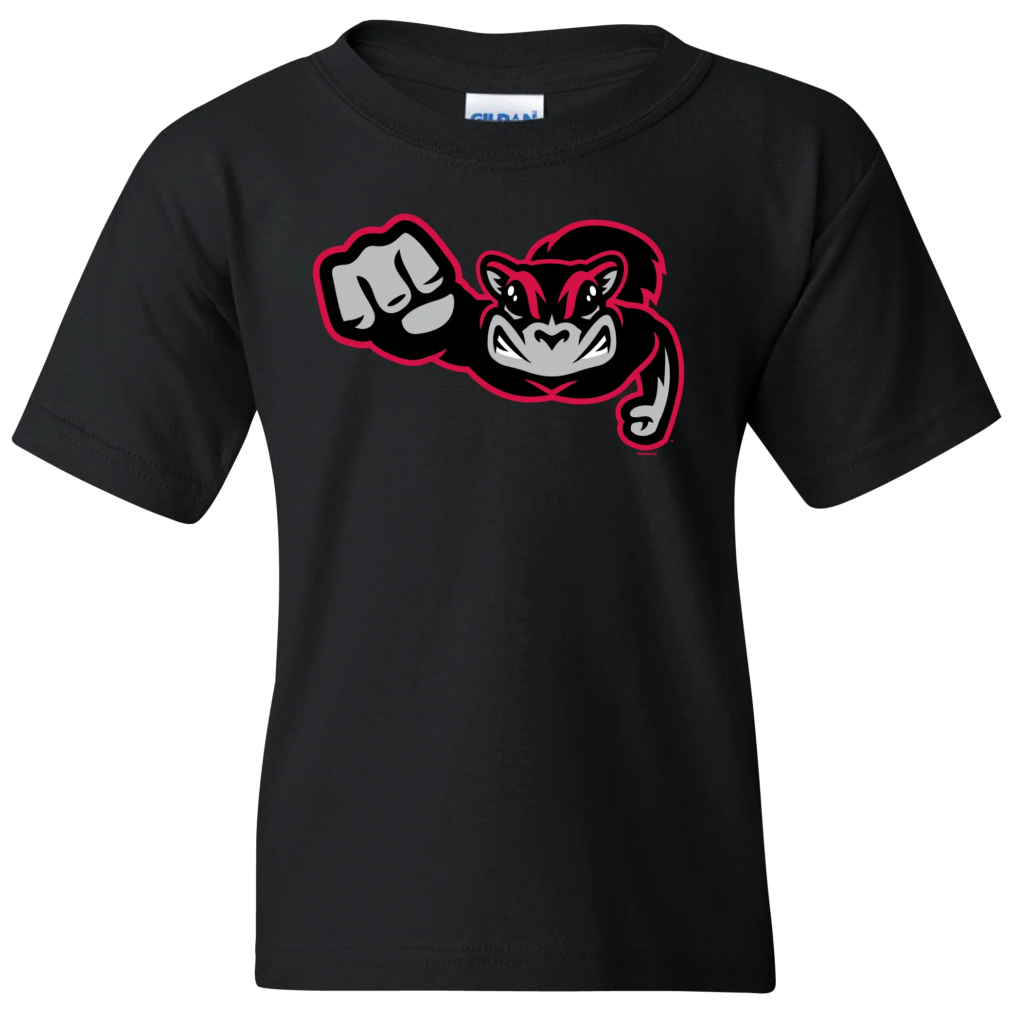 Richmond Flying Squirrels Youth Road Cap Logo Tee - Image 2